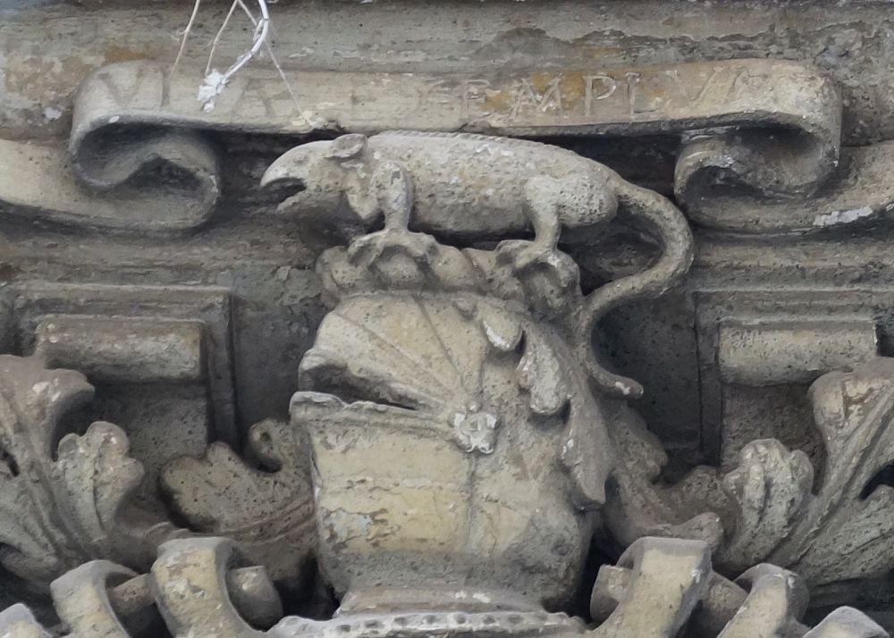 Camaleonte sullo stemma di Palazzo Lanzilao, XVII sec., Lecce - Ph. courtesy of Salentoacolory.it