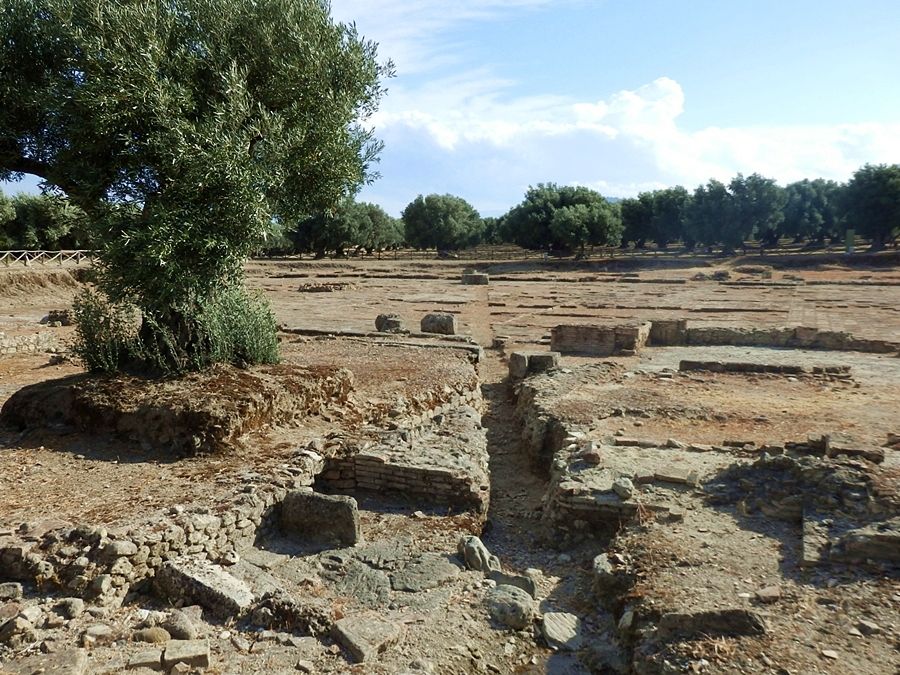 Calabria - Parco archeologico di Skylletion/Scolacium, Roccelletta di Borgia (Cz) - Ph. Michel Vincenzo | CCBY-SA4.0