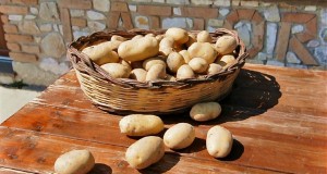 Eccellenze gastronomiche di Calabria: la patata della Sila