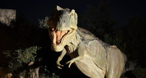 Dai dinosauri alle origini dell’uomo: a Lizzano un emozionante viaggio nella Preistoria