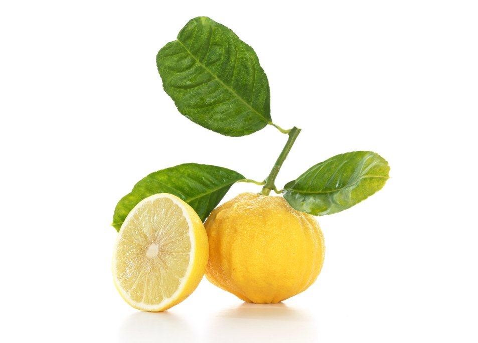 Frutto del bergamotto (Citrus bergamia Risso)