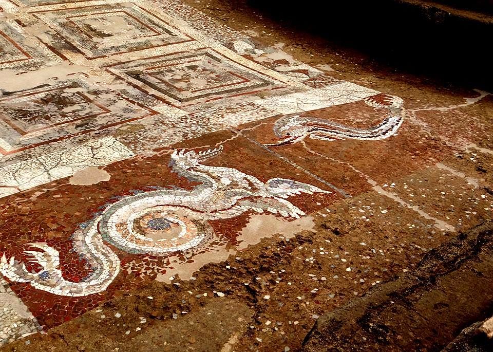 Part. del grande mosaico ellenistico con draghi e delfini ritrovato nel parco archeologico di Kaulon, Monasterace Marina (Reggio Calabria) - Ph. Monasterace nel Cuore