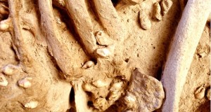 Eccezionale scoperta nel sud della Francia: da una tomba del Neolitico un arcaico esempio di Bio-fashion