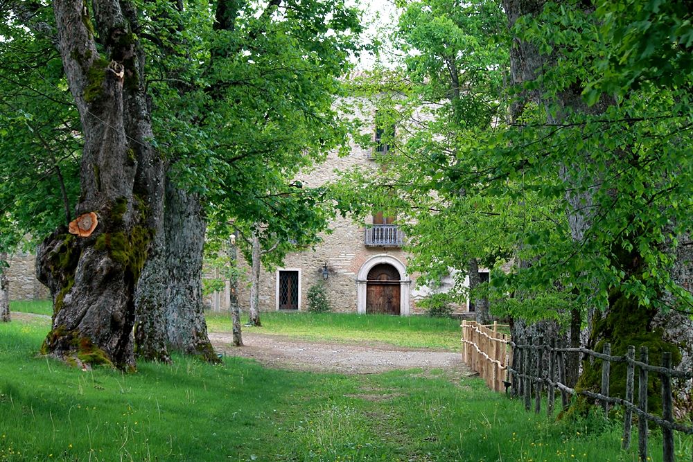 Scorcio della Tenuta Barracco, sede del parco letterario Old Calabria, Parco Nazionale della Sila – Ph. © Gianni Termine