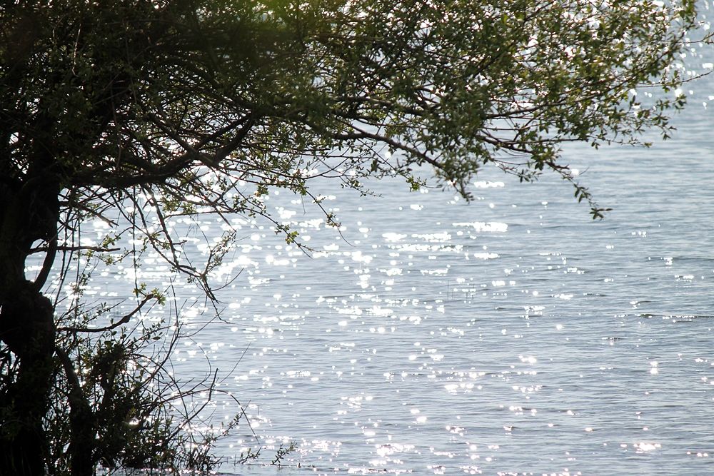 Riflessi sul Lago Cecita, Parco Nazionale della Sila - Ph. © Gianni Termine