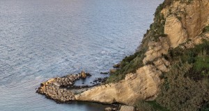 Una balena di oltre 7 milioni di anni fa riaffiora da una roccia a Pizzo Calabro