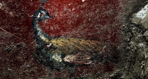 Domus dei Delfini: riemerge a Pompei la lussuosa residenza di un notabile