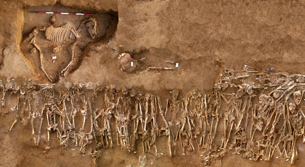 Fossa comune dei caduti della Battaglia di Himera del 409 a.C. e sepoltura di un cavallo - Image by Soprintendenza Archeologica della Sicilia