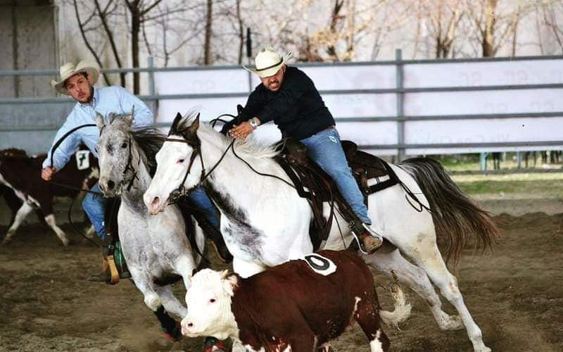 Stefano Battista mentre partecipa al torneo Hall Performance Horses, a Edgemont, South Dakota, USA
