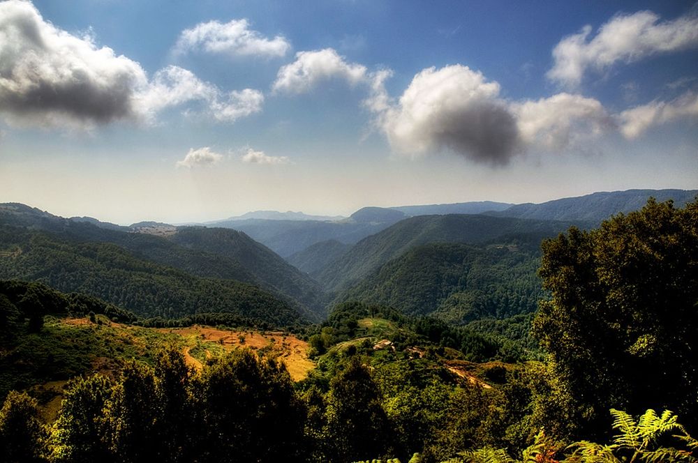 Scorcio del Parco Nazionale dell'Aspromonte - Ph. Carlo Bonini