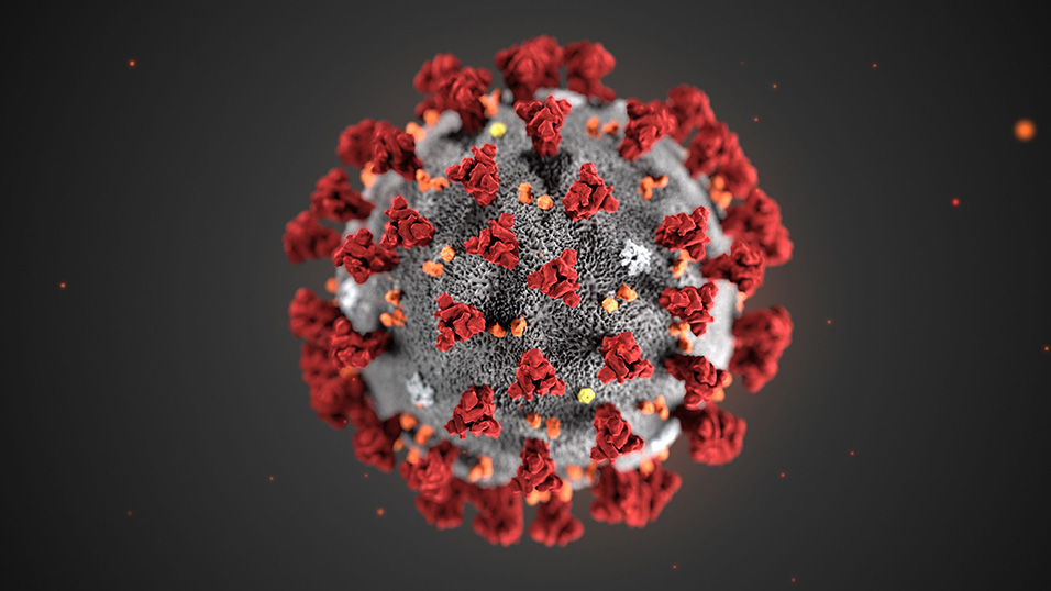 Elaborazione virtuale del coronavirus