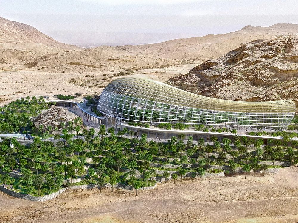 Uno dei rendering dell'Oman Botanic Garden di Muscat