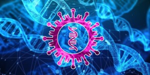 Coronavirus: studente salernitano scopre la mutazione all’origine del passaggio all’uomo
