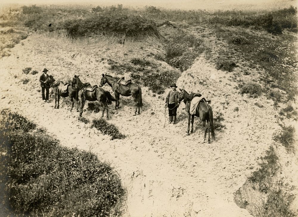Laval Nugent, Uomini e cavalli, Lucania, XIX-XX secolo - Collez. Diciocia ©