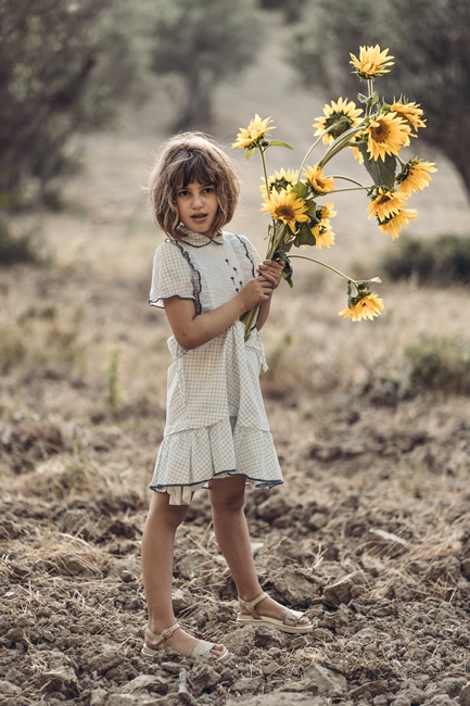 Girasoli a San Floro © Pierluigi Ciambra