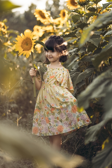 Girasoli a San Floro © Pierluigi Ciambra