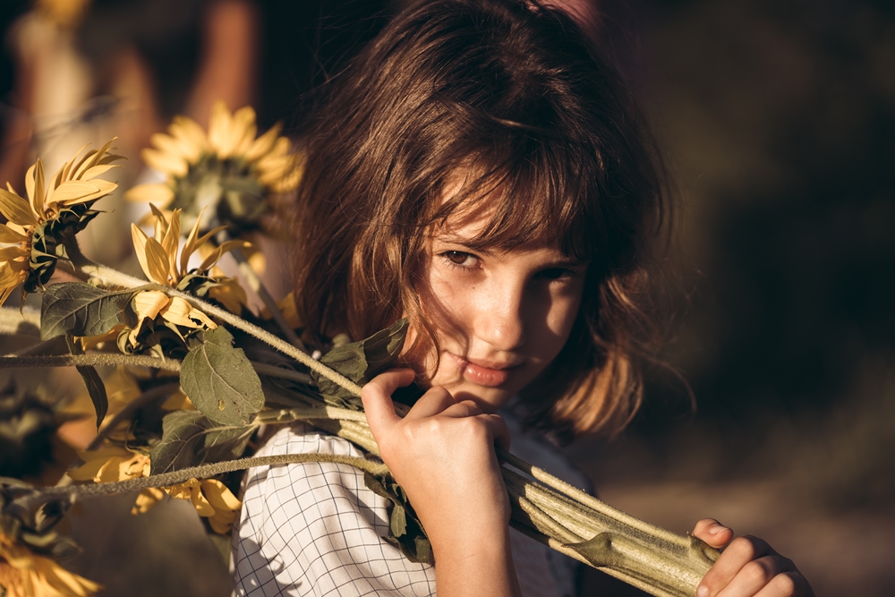 Girasoli a San Floro © Pierluigi Ciambra