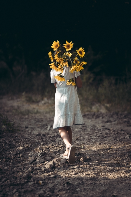 Girasoli a San Floro © Pierluigi Ciambra