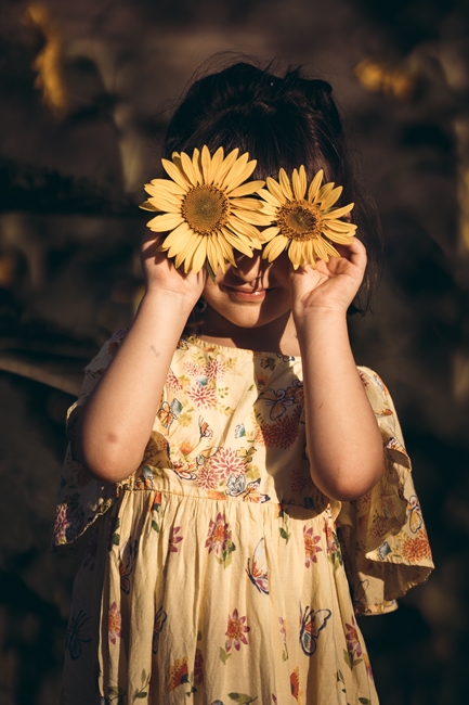 Girasoli a San Floro © Pierluigi Ciambra