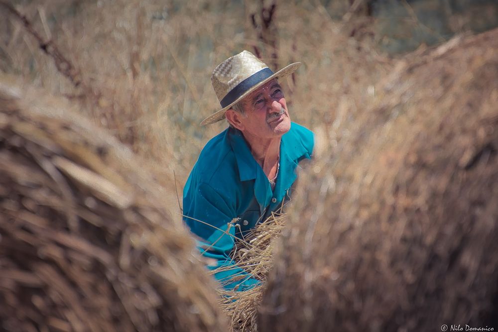 Le Colline del Grano © Nilo Domanico