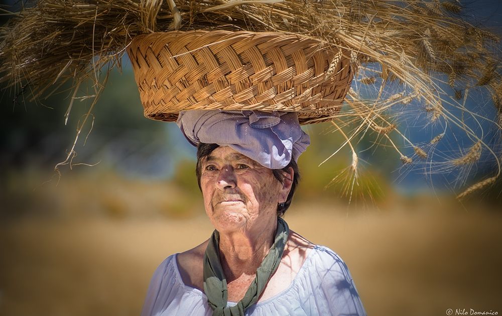 Le Colline del Grano © Nilo Domanico