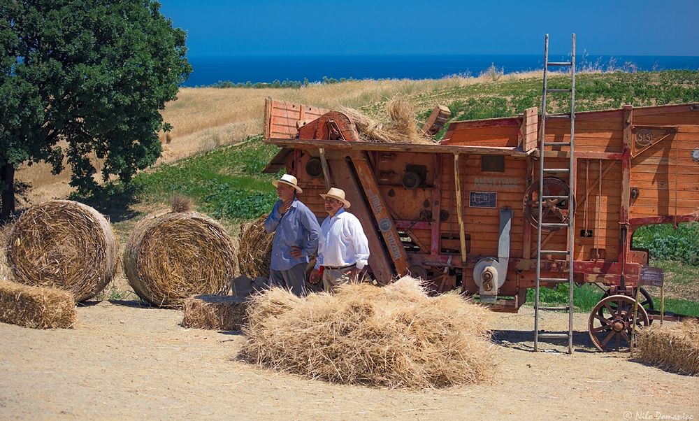 Le Colline del Grano © Nilo Domanico