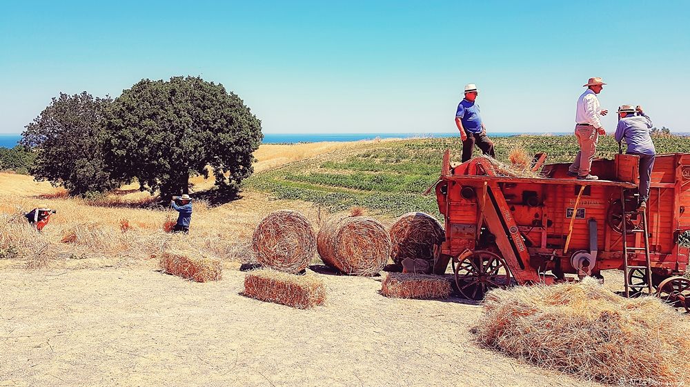 Le Colline del Grano © Nilo Domanico