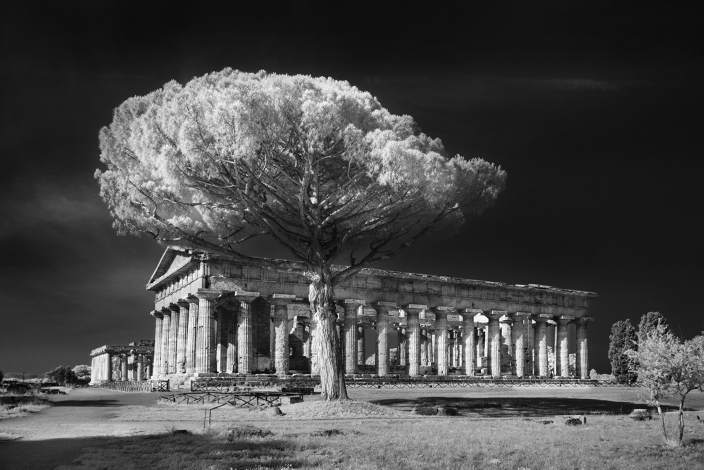 Santuario meridionale, Paestum - Ph. Marco Divitini