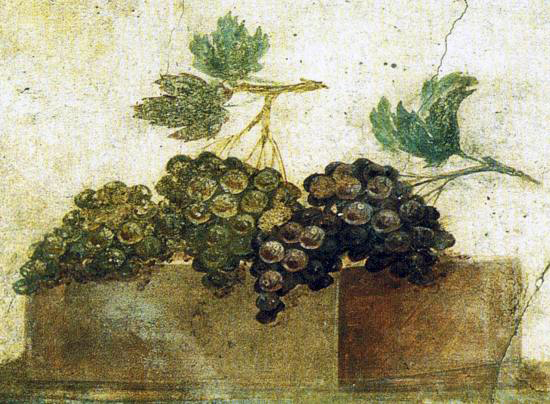 Grappoli d'uva da un affresco pompeiano a tema agreste, I sec. d.C.