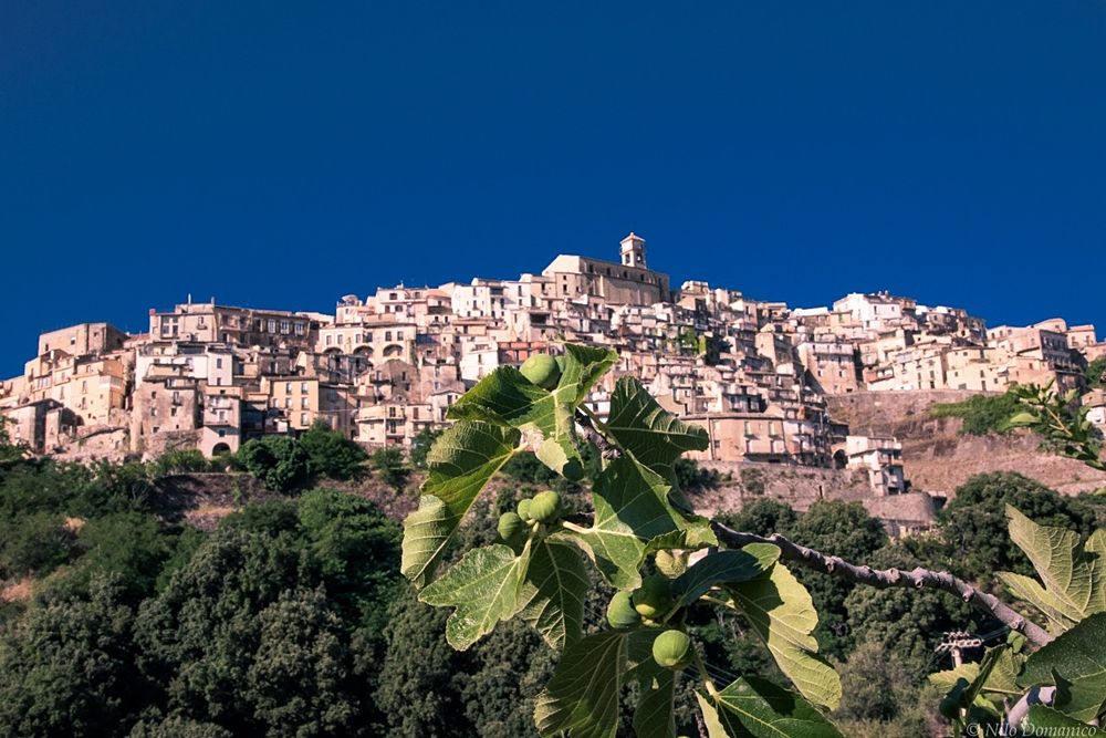 Il borgo jonico di Badolato (Catanzaro) - Ph. © Nilo Domanico