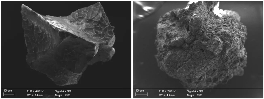 Da sin.: a) neurone, insieme ai suoi assoni, visibile in un segmento vetrificato di tessuto cerebrale; b) frammento di midollo spinale vetrificato visto al microscopio - Ph. Pier Paolo Petrone | UniNapoli