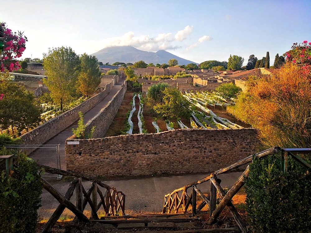 Strade e vigneti di Pompei, autunno 2020 - Image courtesy Laura Noviello ©