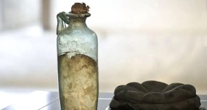 La più antica bottiglia d’olio del mondo: individuata tra i reperti pompeiani e ercolanensi