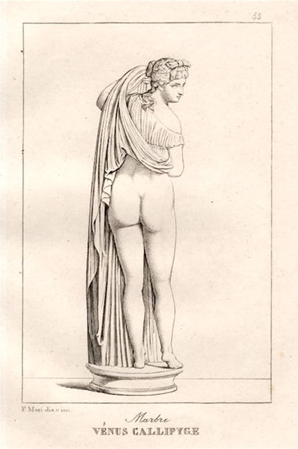 La Venere Callipige di Napoli riprodotta in una incisione francese del 1889