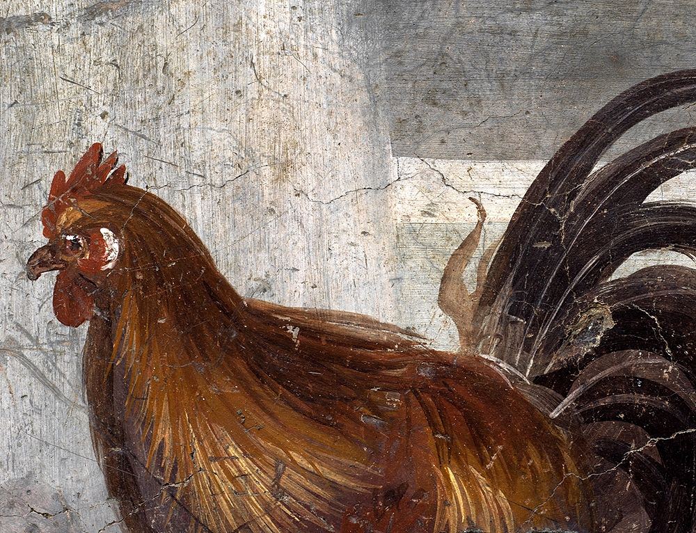 Particolare del gallo raffigurato sul bancone del thermopolium, Pompei - Ph. © Luigi Spina