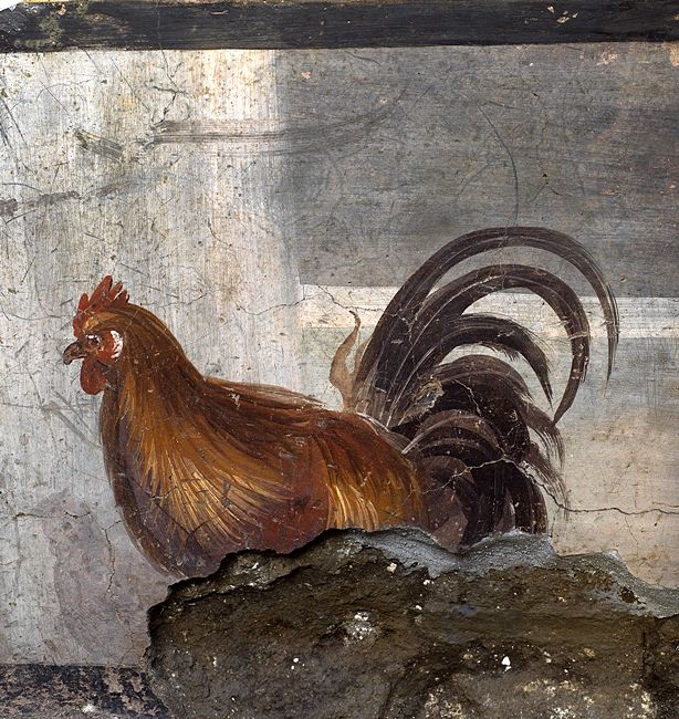 Il gallo, thermopolium, Pompei - Ph. © Luigi Spina