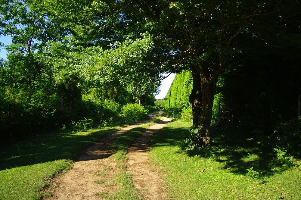 Tratto sud-nord di tracciato sterrato dell'antica via consolare che attraversava il Bruzio passando dal Dossone della Melìa - Ph. Lino Licari