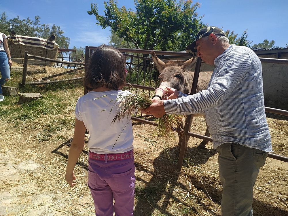 I bambini incontrano gli animali alla Masseria didattica "Fattoria Rovello", San Paolo di Civitate (Fg)