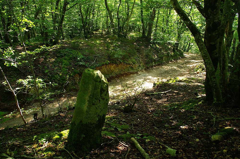 Tratto ovest di sentiero sulla direttrice Locri-Medma - Ph. Lino Licari