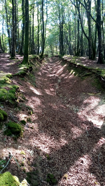 Tratto est del grande fossato attribuibile allo sbarramento romano - Ph. Lino Licari