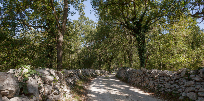 Sentiero natura alla Masseria didattica "Ferri", Ostuni (Br)