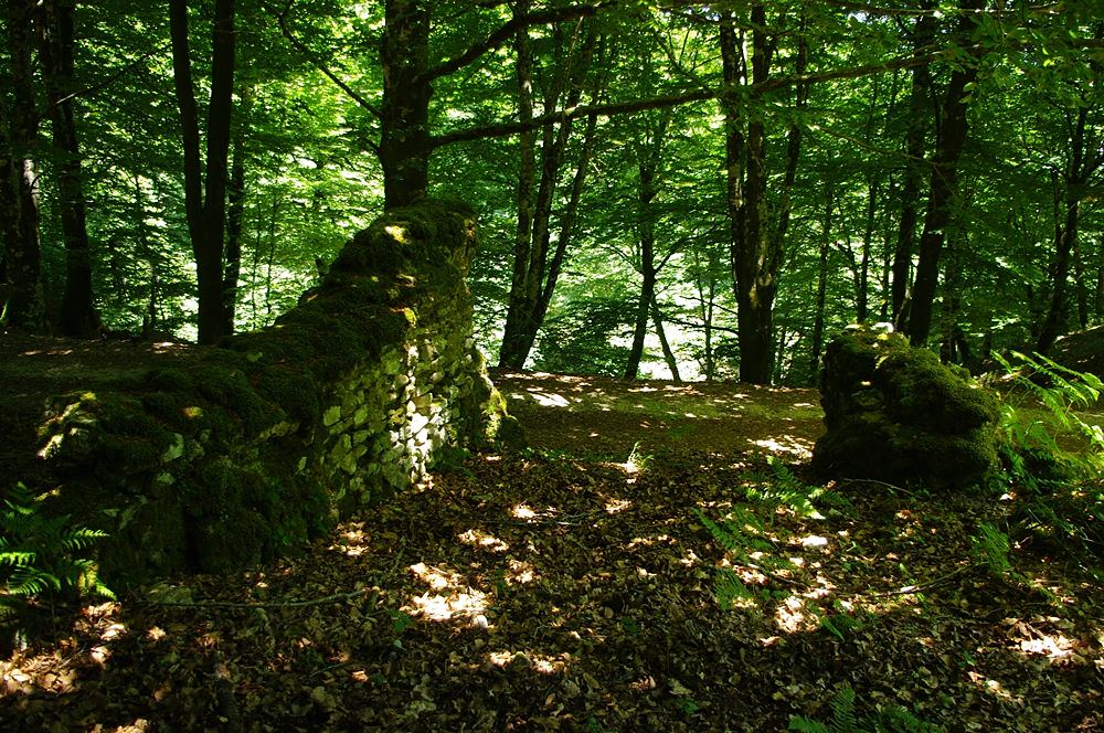 Resti di strutture di sbarramento sullo Zomaro, in località Bracatorta - Ph. Lino Licari