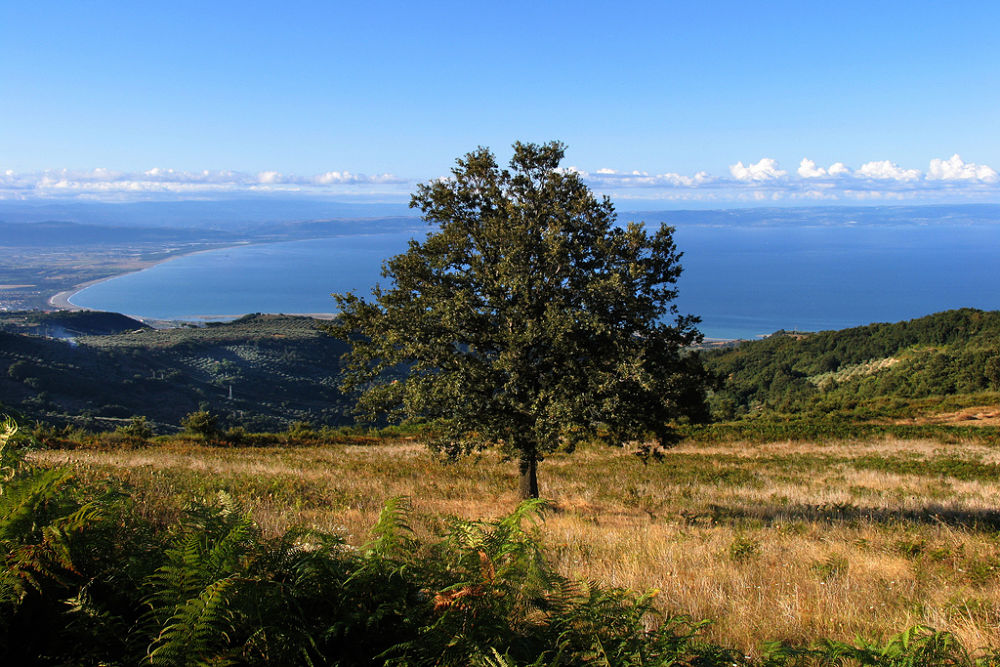 Il Golfo di Sant'Eufemia, in Calabria, visto dalle alture dell'entroterra - Ph. courtesy of Aurelio Candido 