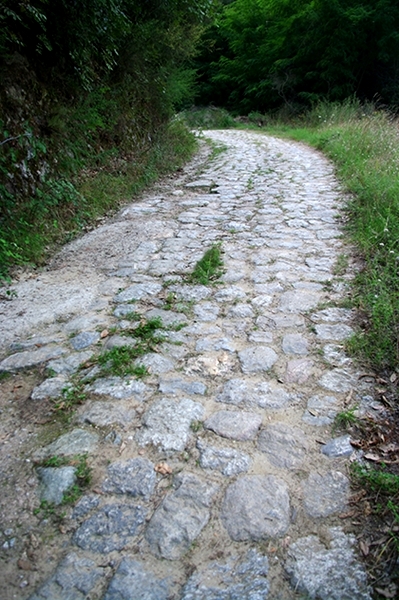 Scorcio della via Annia-Popilia nel tratto tra Melia e Solano. Questa strada fu evitata dai ribelli perchè presidiata dai Romani - Ph. Lino Licari