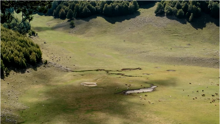 Pascoli d'altura nel Parco del Pollino in una scena del film