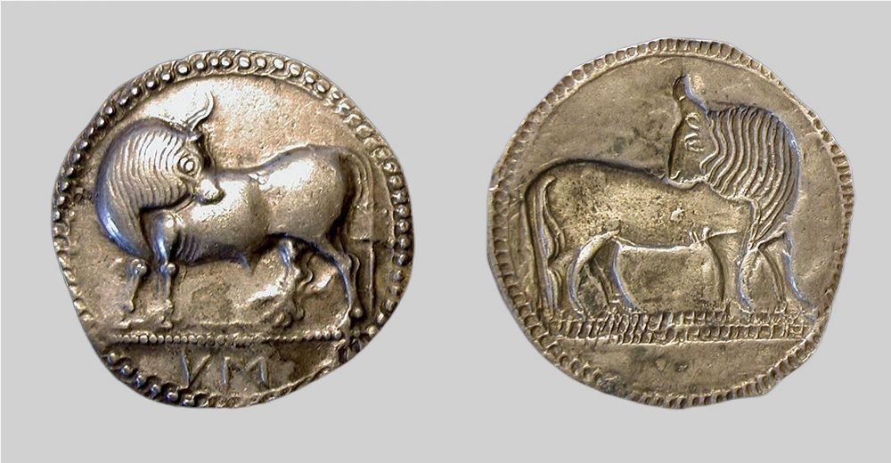 Statere incuso di Sibari, argento - Museo Nazionale della Sibaritide