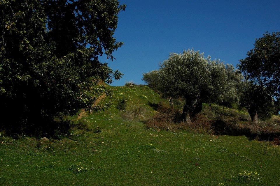 Colline di Amendolara - Image courtesy © Lello Vigilanti