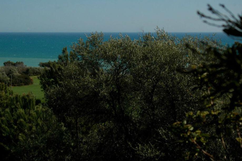 Il mar Jonio visto dalle colline di Amendolara - Image courtesy © Lello Vigilanti