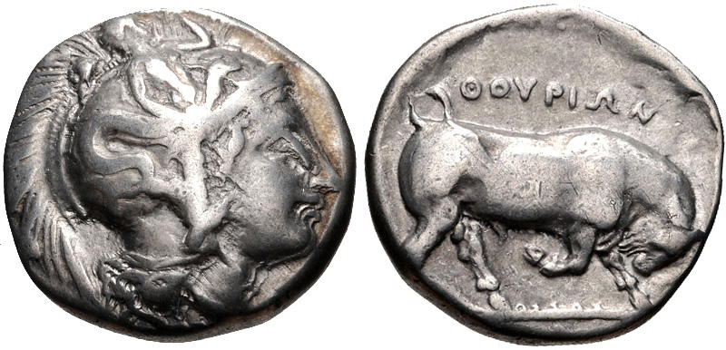 Statere di Thurii con testa di Athena e toro cozzante, V-IV sec. a.C. Sopra la sottile linea di esergo in lettere minute il raro nome dell'incisore ΜΟΛΟΣΣΟΣ