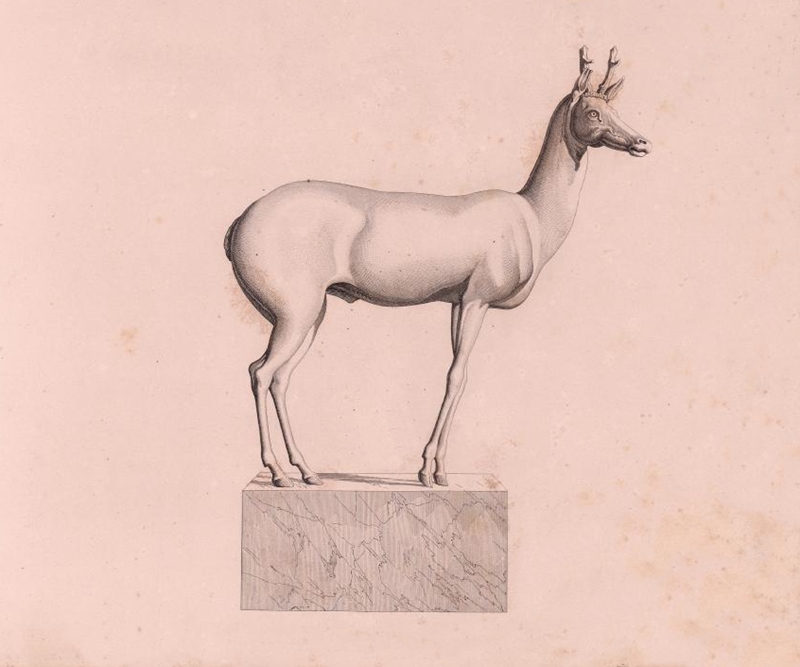 Incisione raffigurante il capriolo in bronzo tratto dal volume di Theodore Panofka, 1832